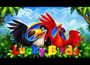 Lucky Birds